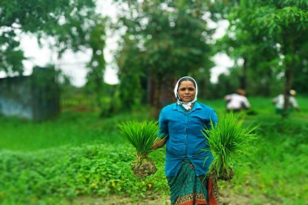 Farmers News