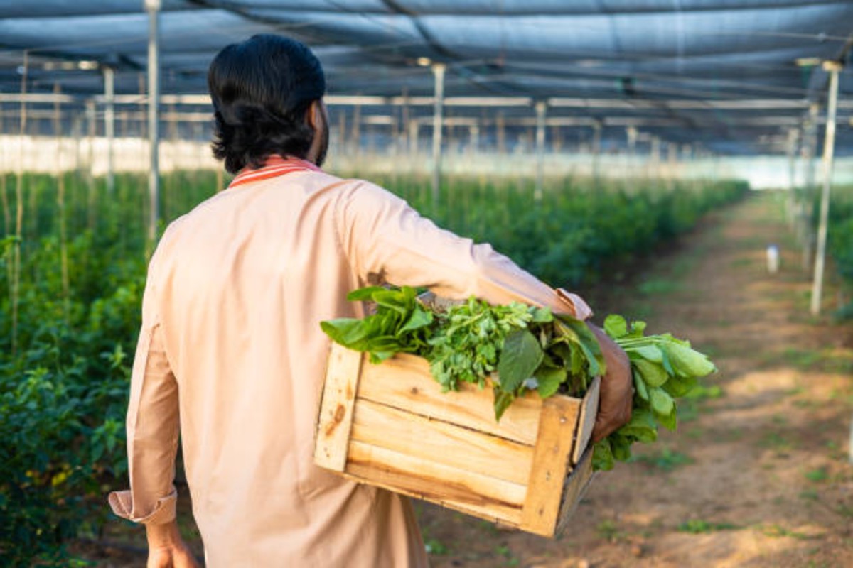 Farmer Success Story