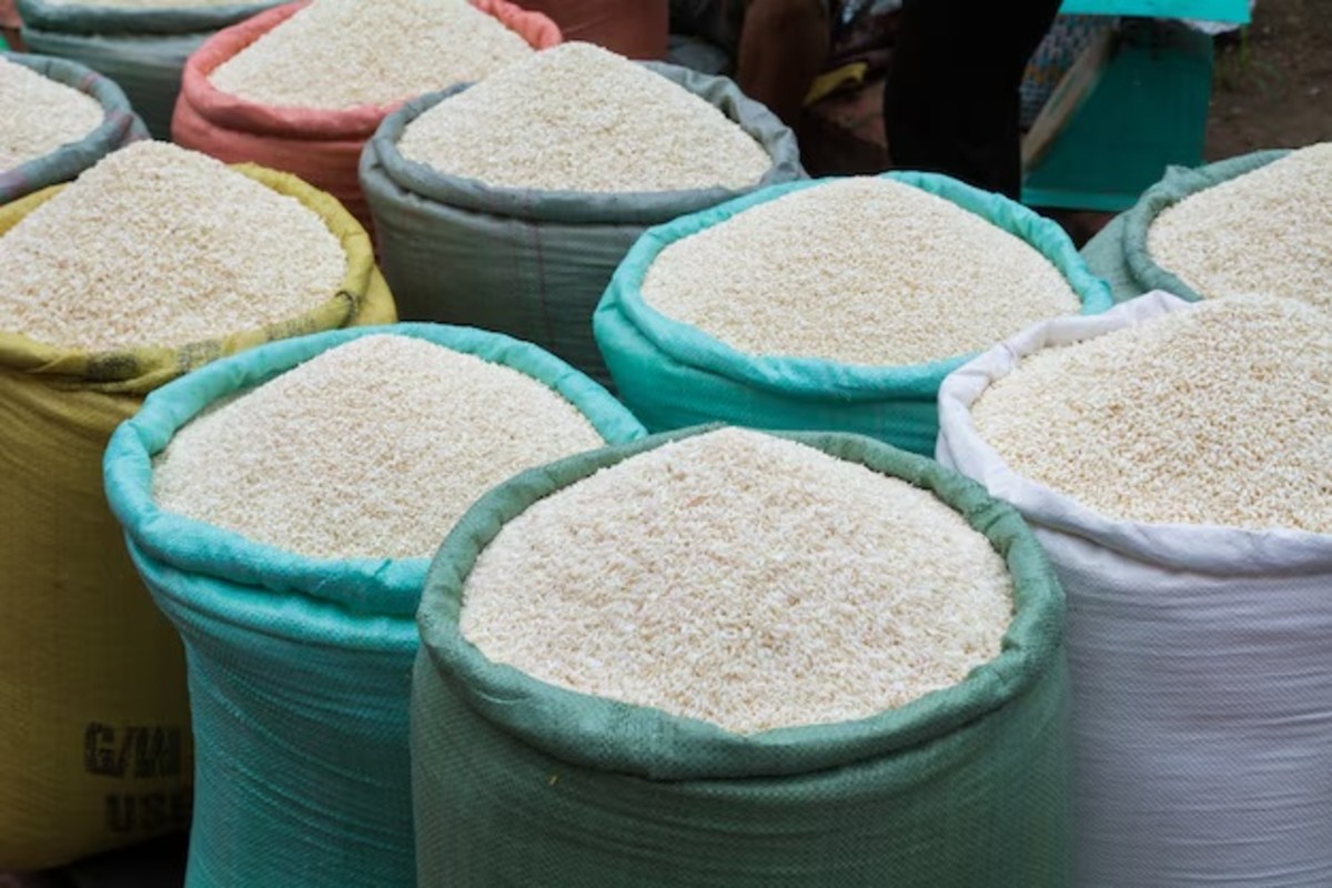 Rice Mill Business