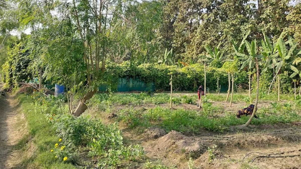 Progressive Farming