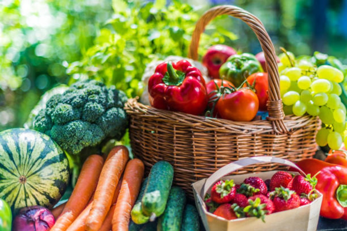 vegetable farming