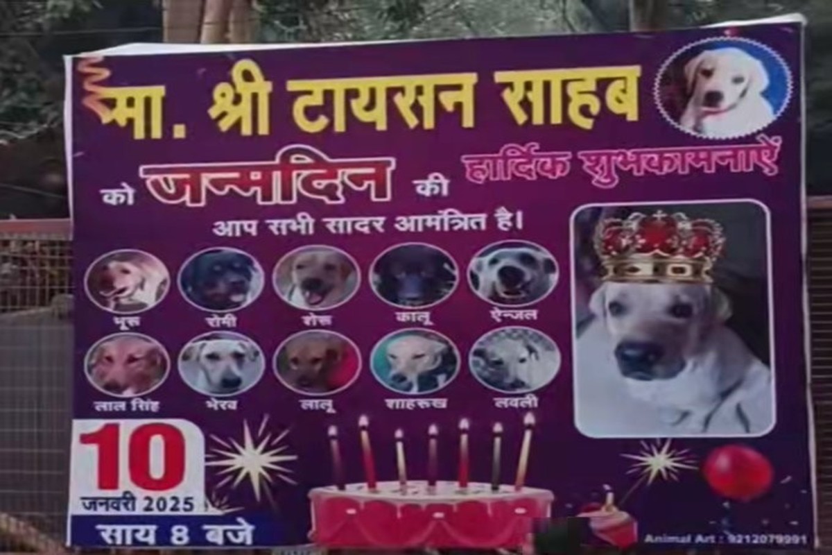 Viral video news