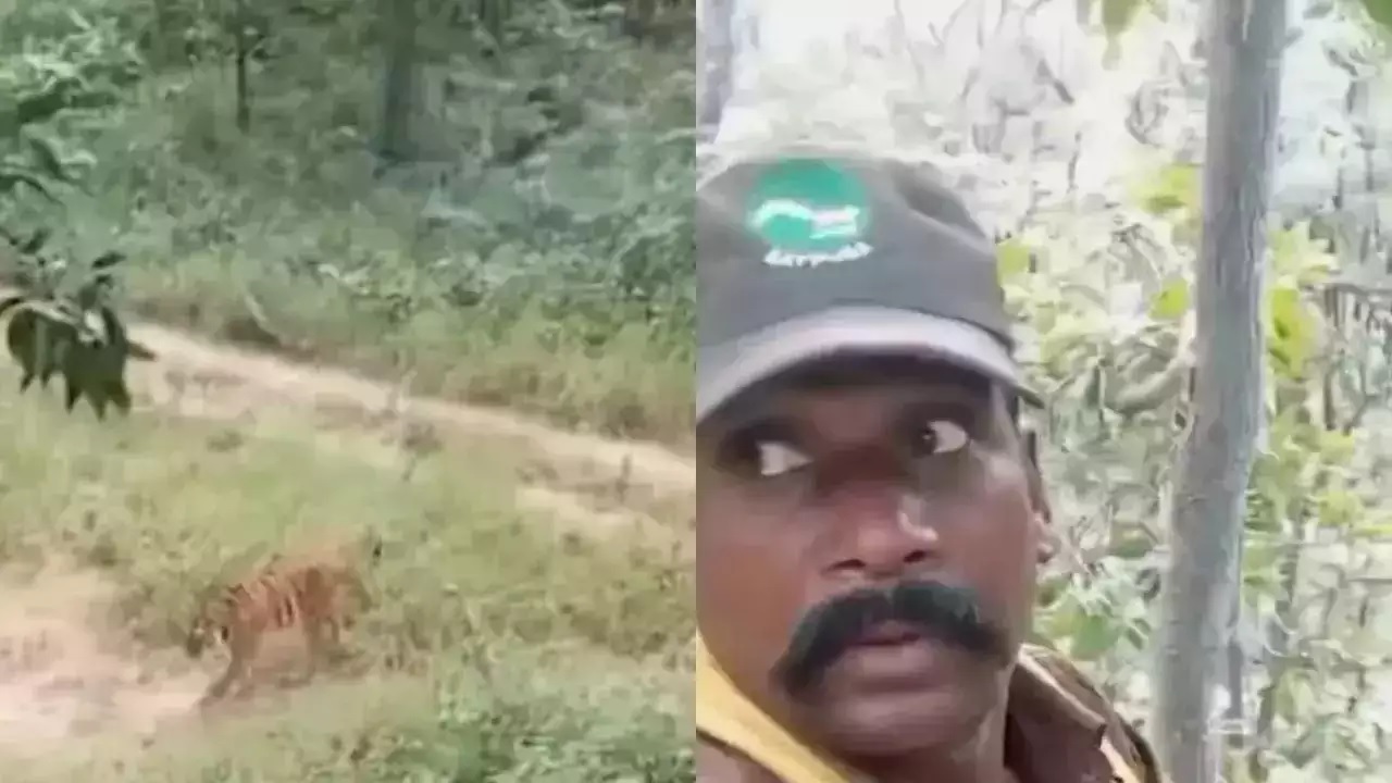 Viral Video