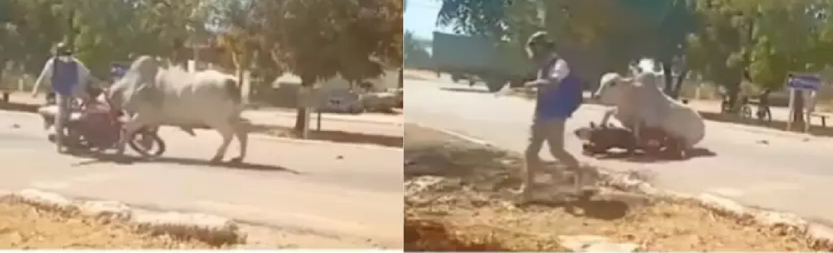 Viral Video