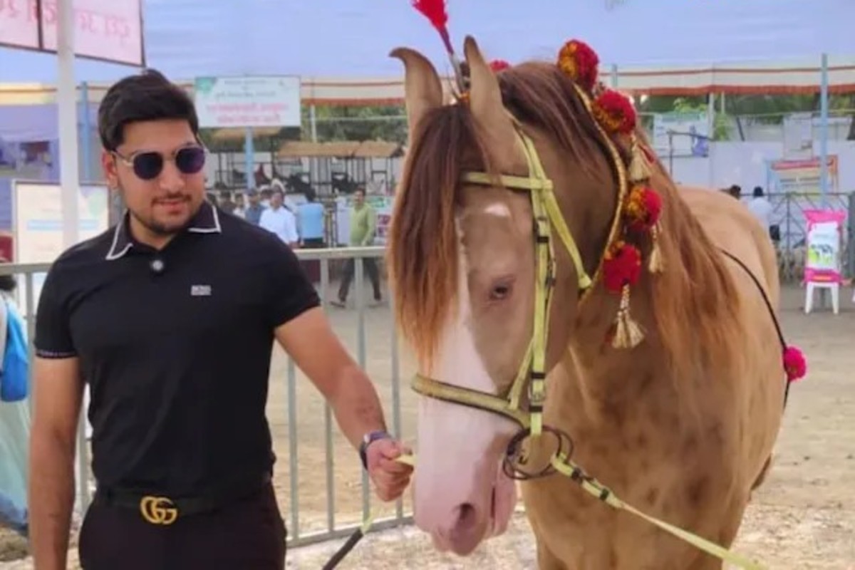 Horse Worth 11 Crores