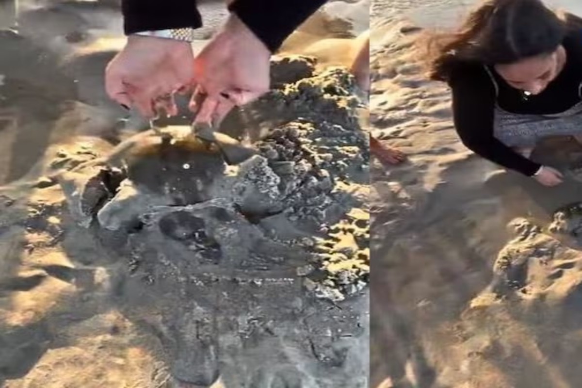 Woman find weird round object on beach