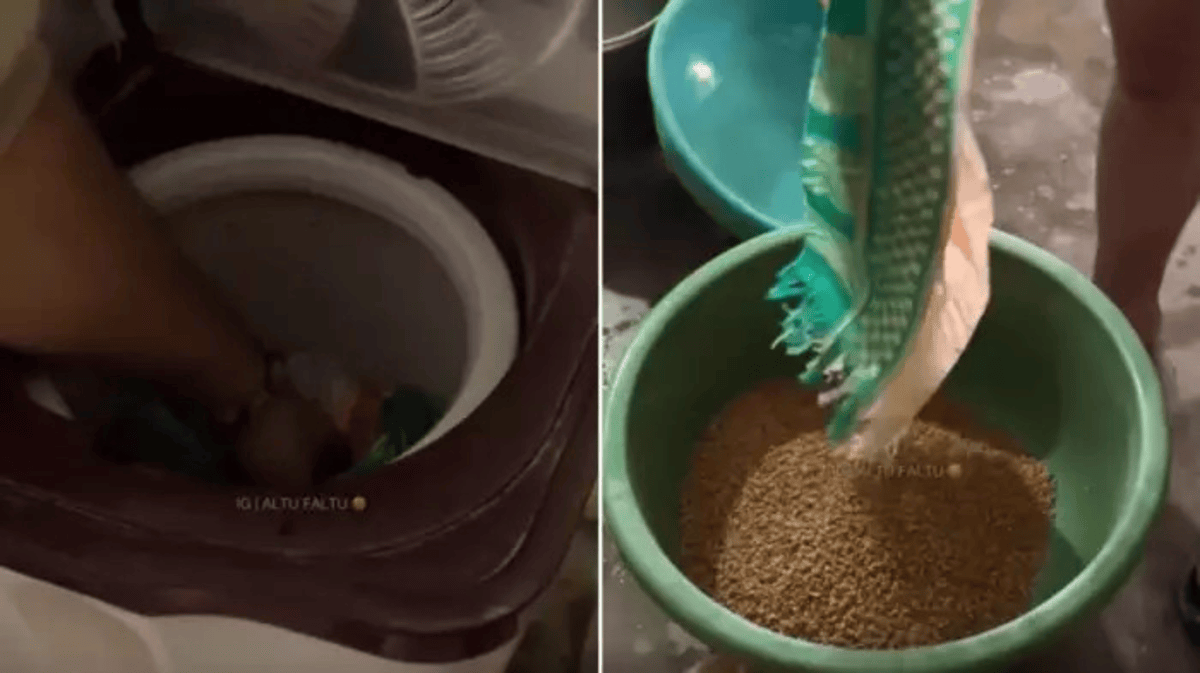 Washing Machine Me Sukhaya Gehu Video