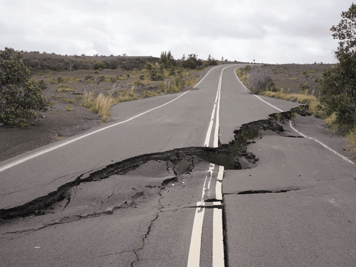 They Sense Earthquakes Before They Strike