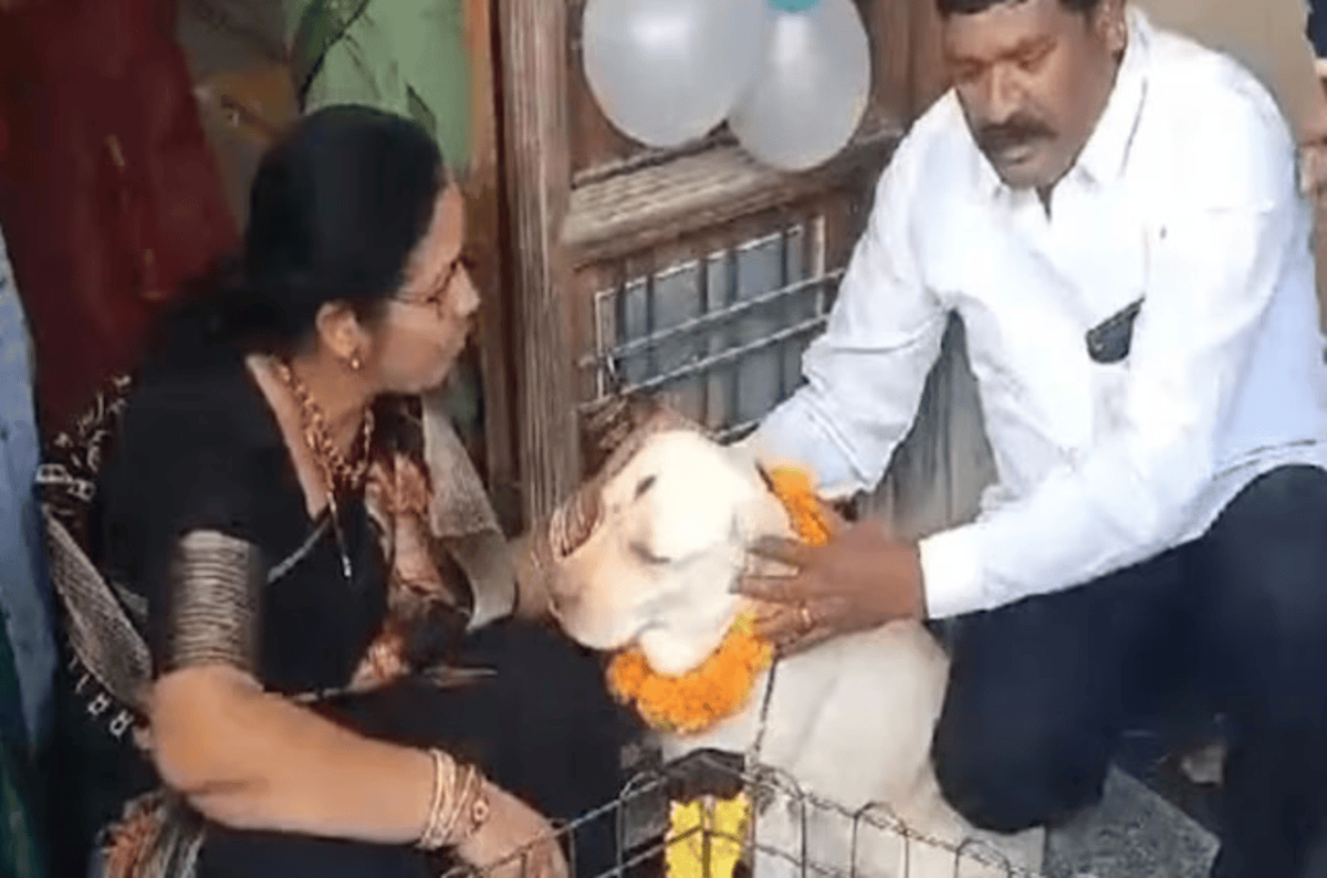 Dog Naming Ceremony