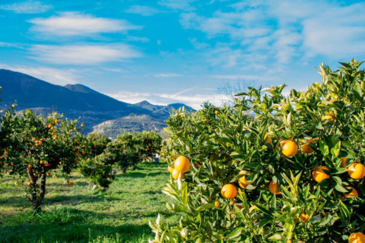 Agriculture News