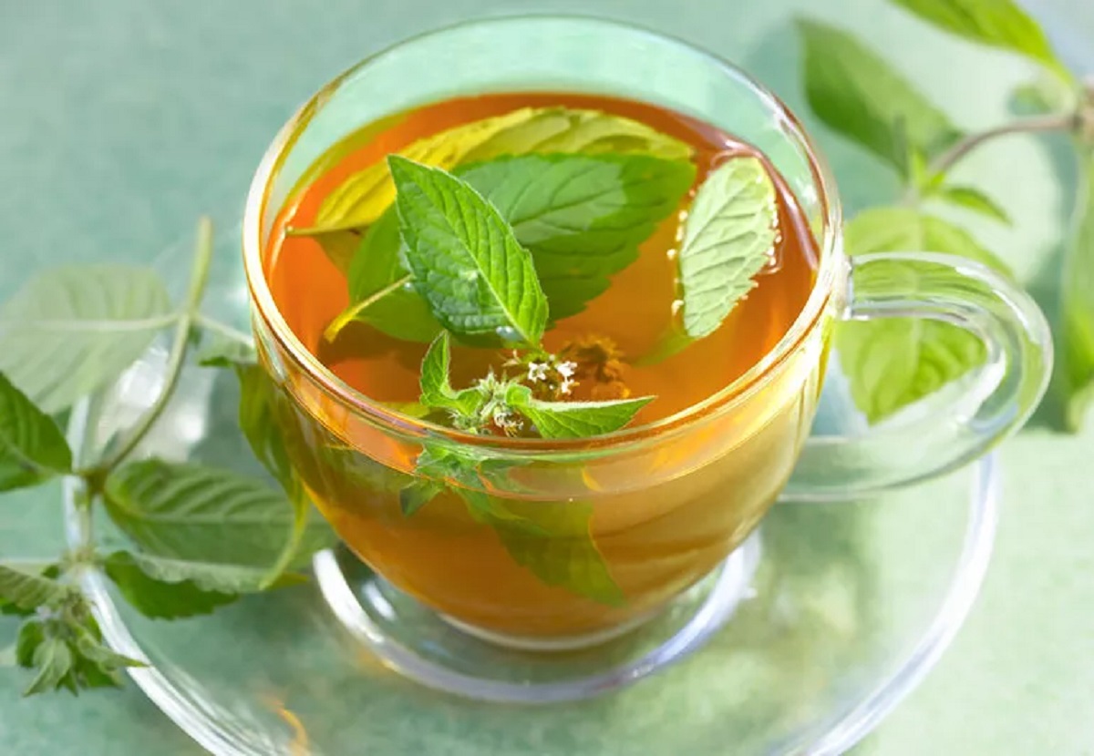 Basil leaves water