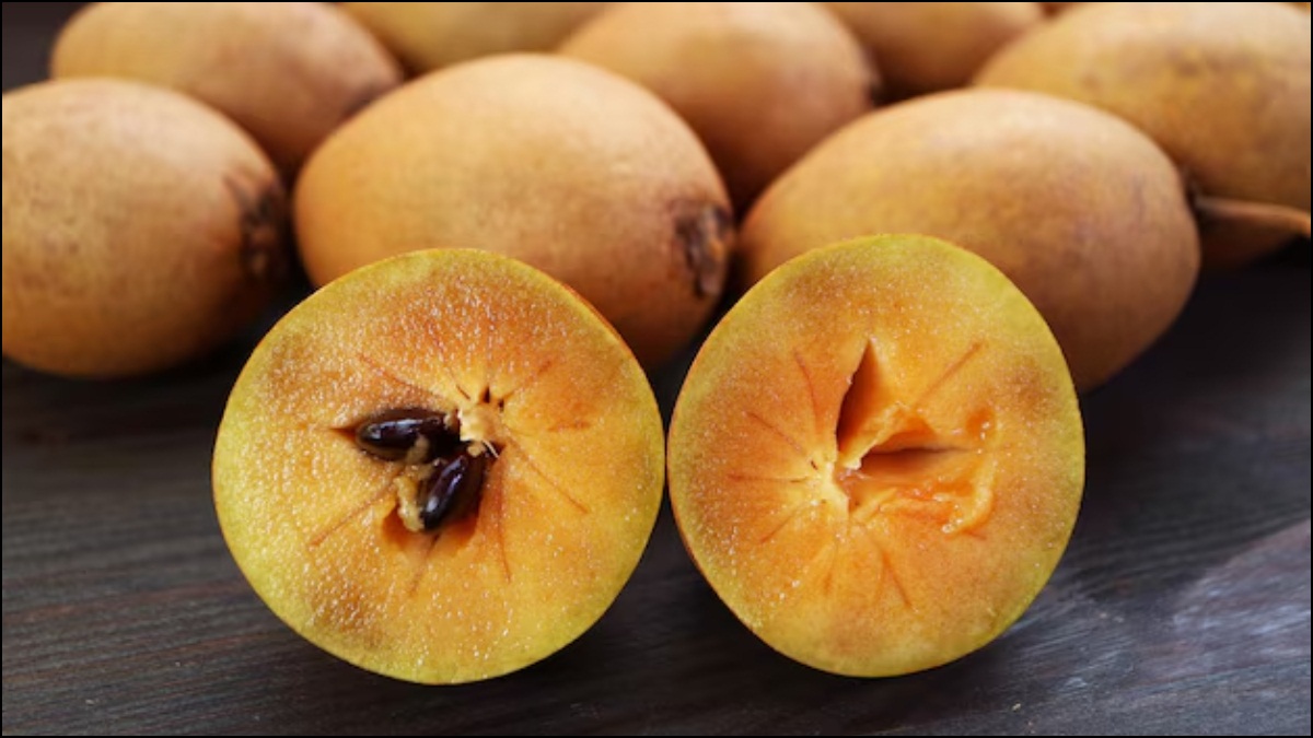 Chiku Benefits