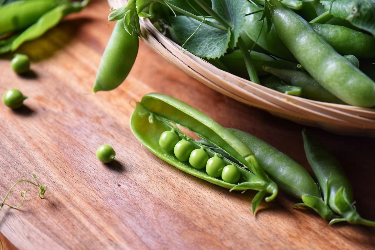 Green Peas 2 Satya Day