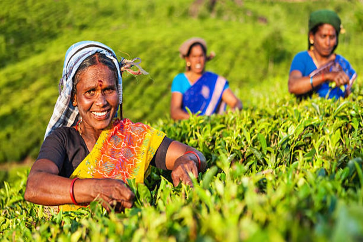 Gujarat Farmers