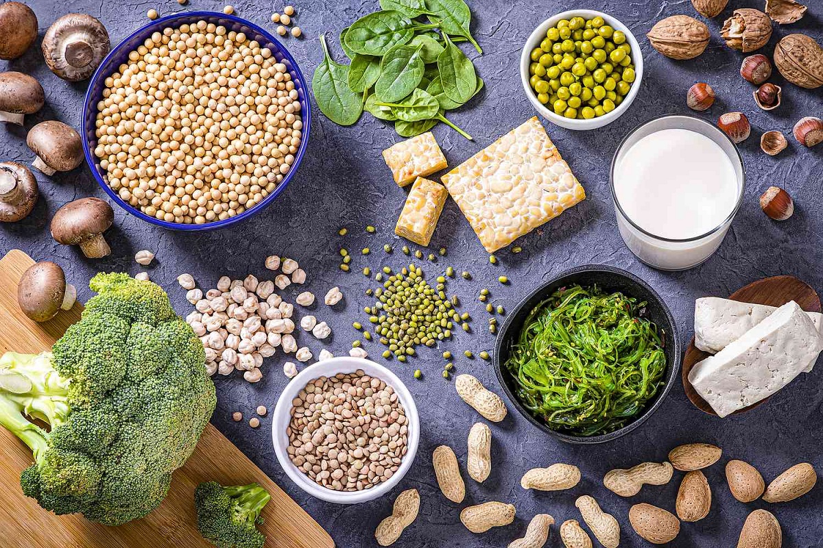 Protein Sources