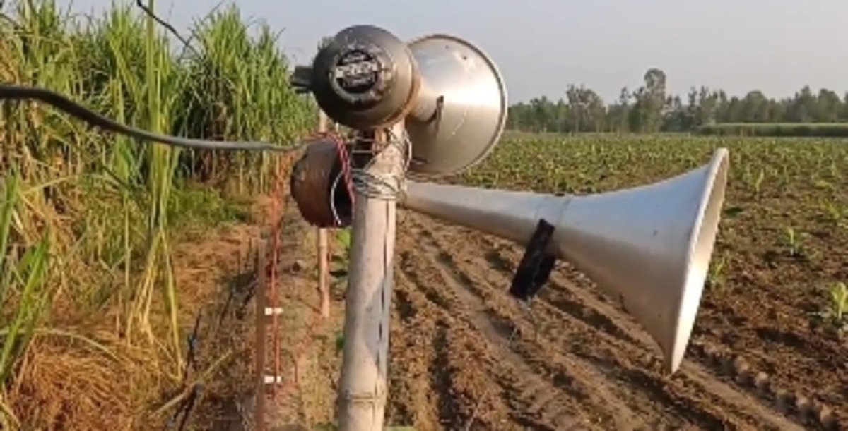 Crop Protection from wild animals