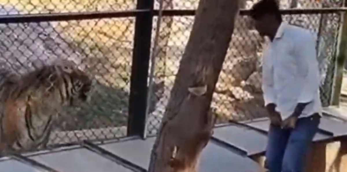 Machia Safari Park Jodhpur Viral Video