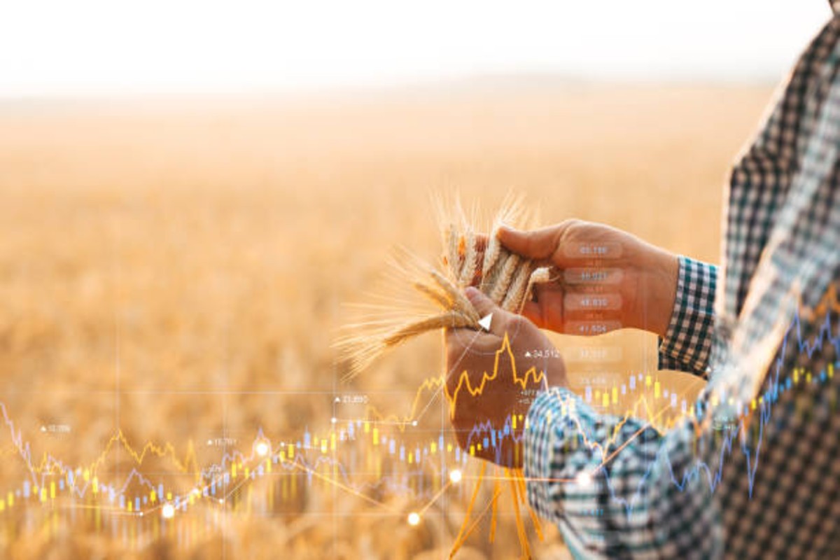 Wheat Price