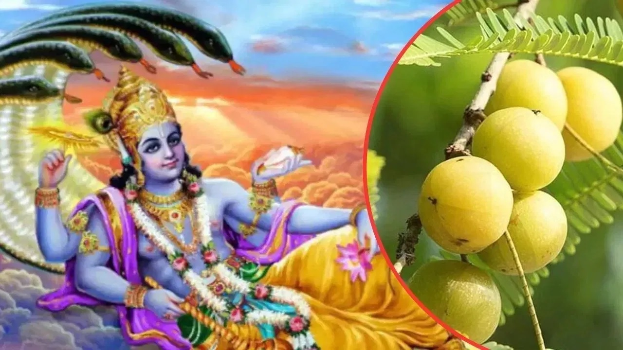 Amalaki Ekadashi 2025