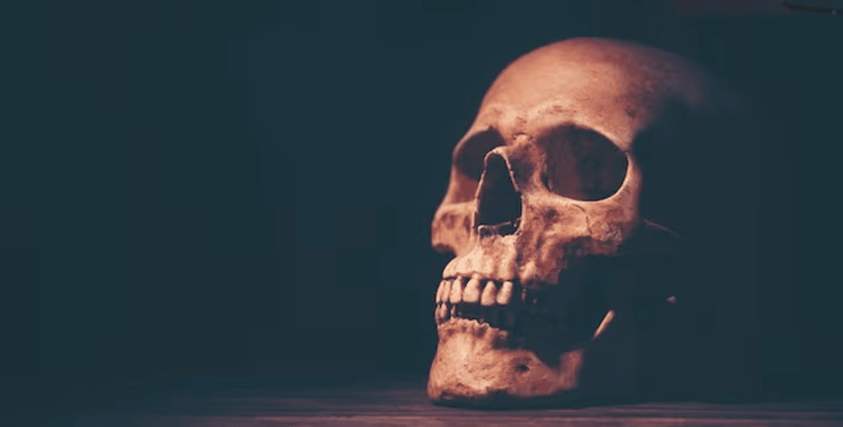 18000 years ago people were cannibals