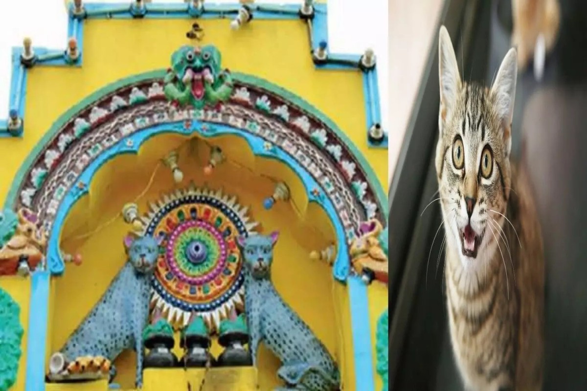 Karnataka Cat temple
