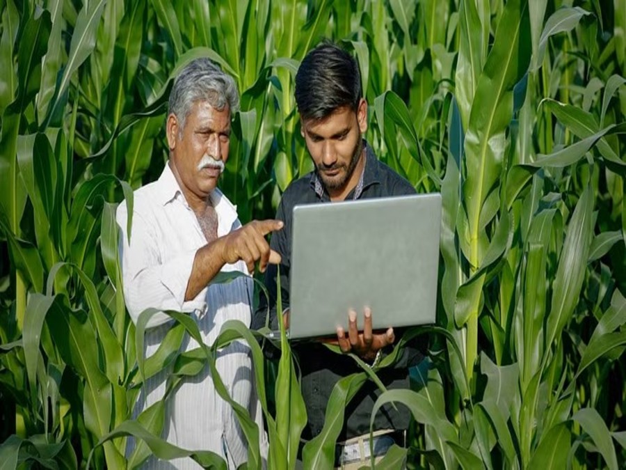 PM Kisan Yojana
