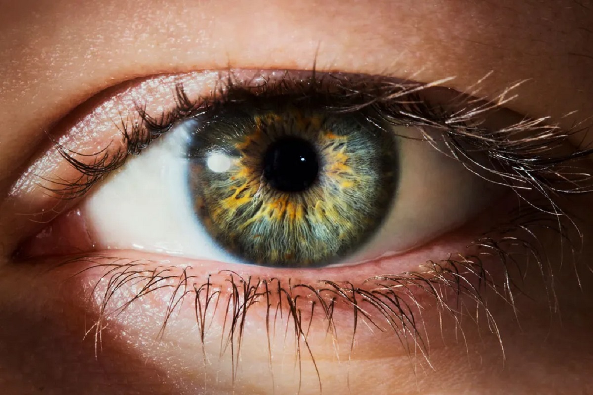 Human Eyes