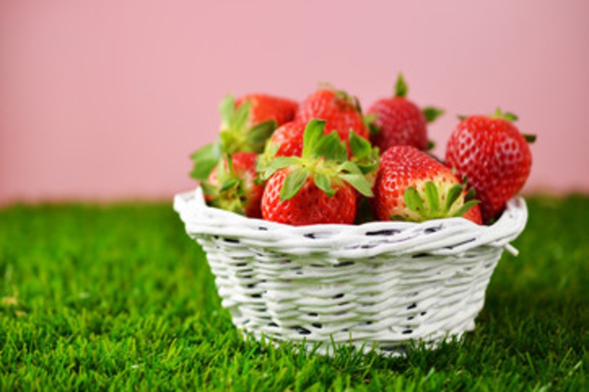 straberry production