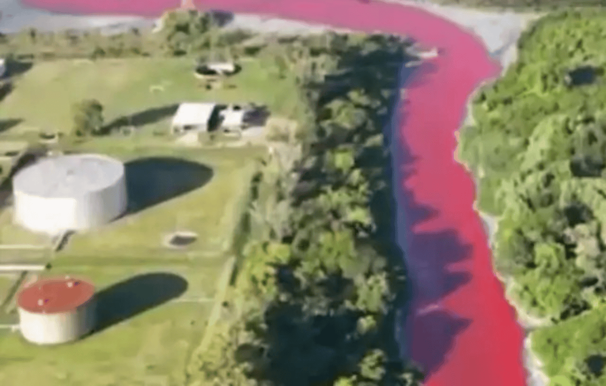 Canal Water Turns Red