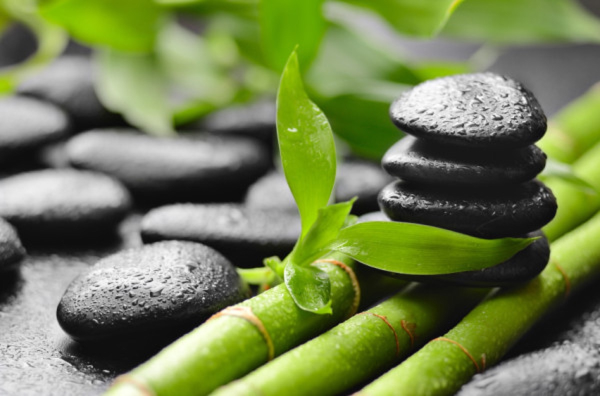 Feng Shui Tips