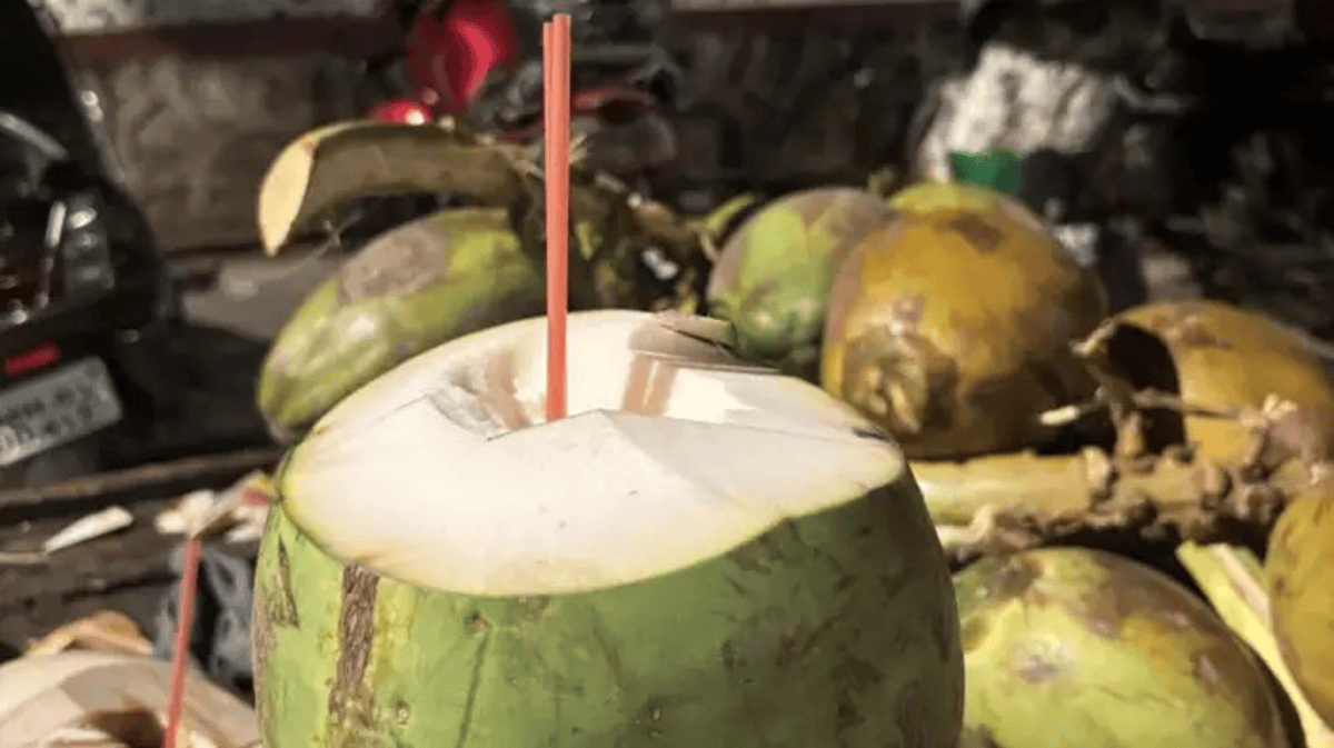Coconut Seller Viral Advice