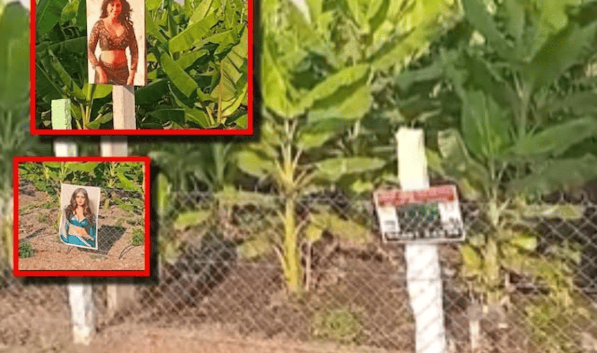 Unique Crop Protection