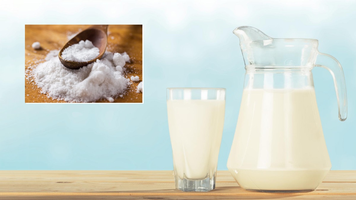 Kitchen Adulteration