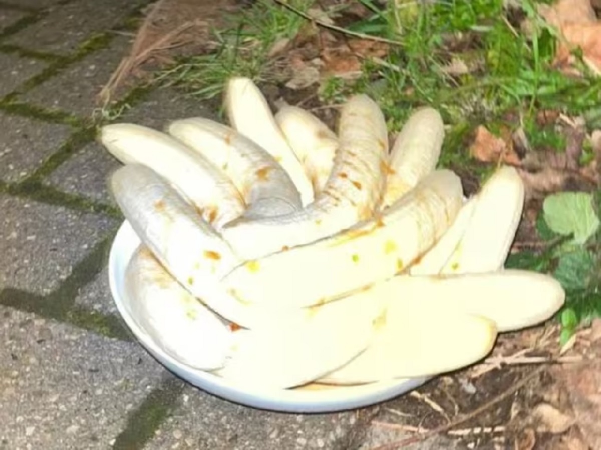 mysterious banana