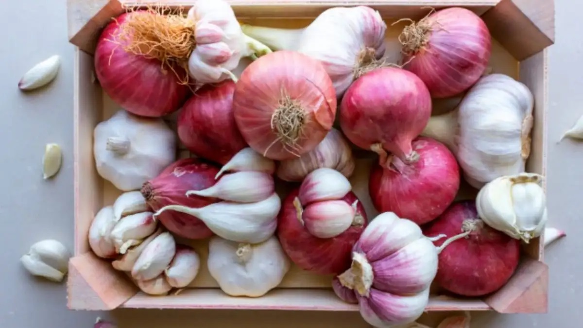 onions and garlic 1