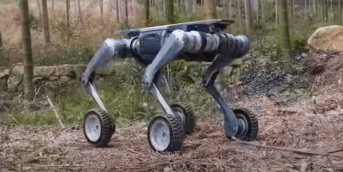 Dancing Robotic Dog