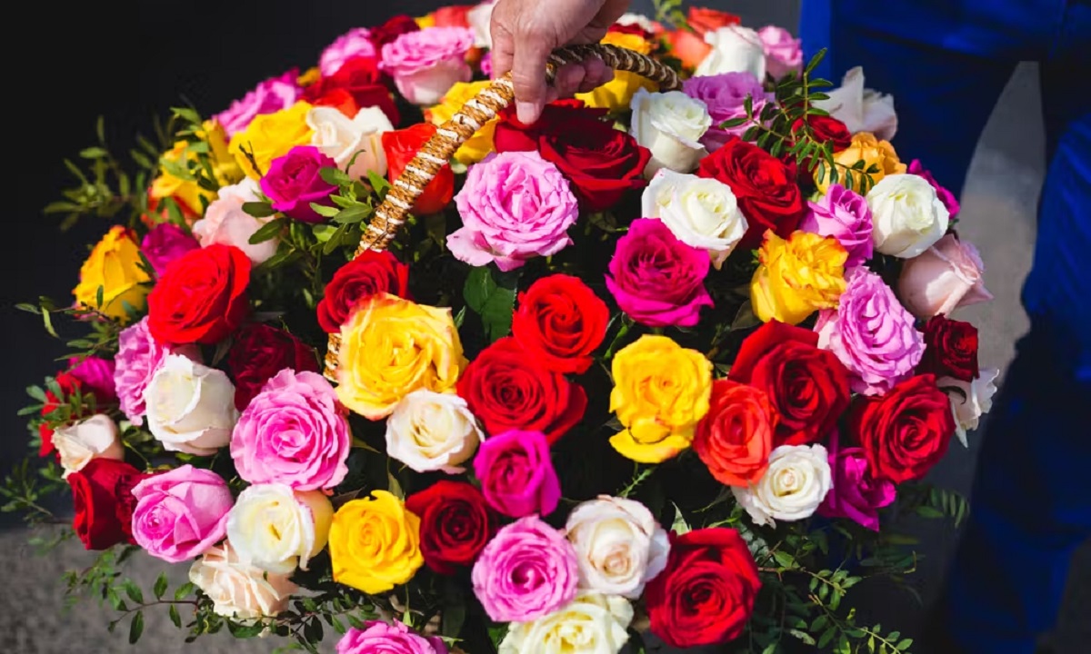 Rose Day 2025