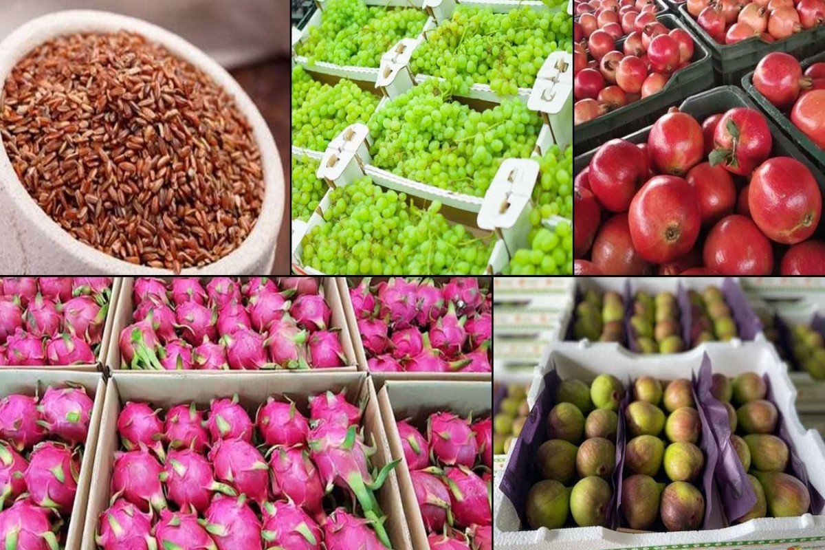 Indian Agricultural Exports