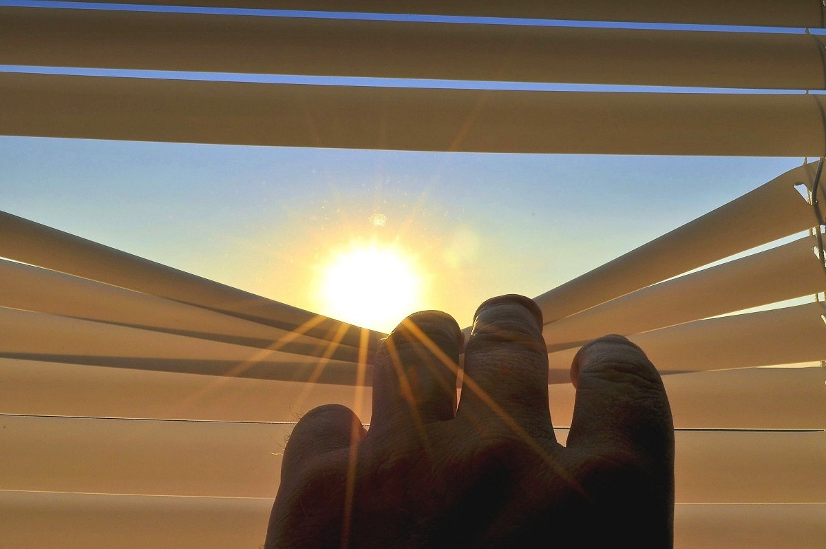 Vitamin D