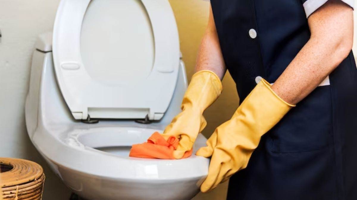 toilet cleaning.2