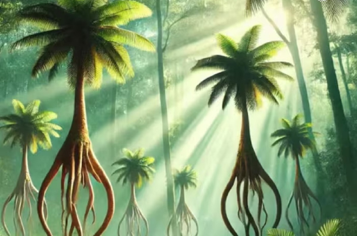 Tree Can Walk