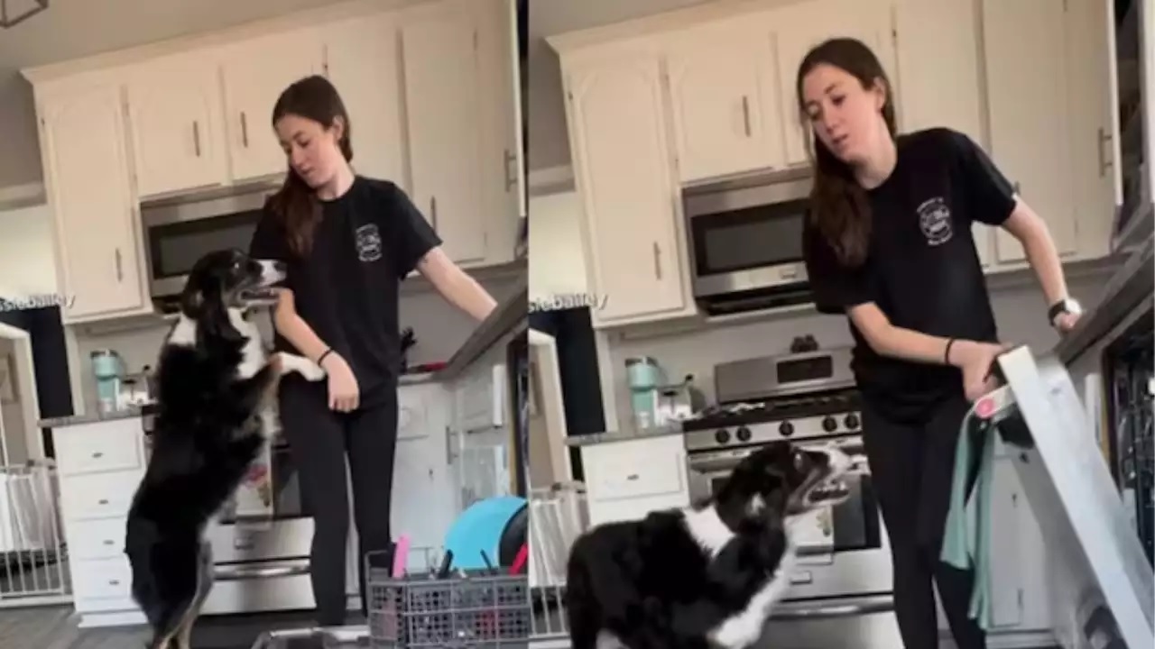 Viral Video