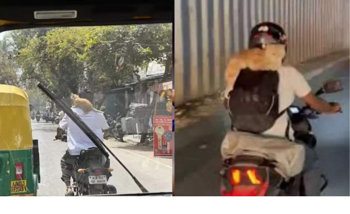 Viral Video