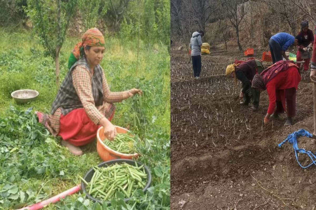 Woman Farmer Success Story