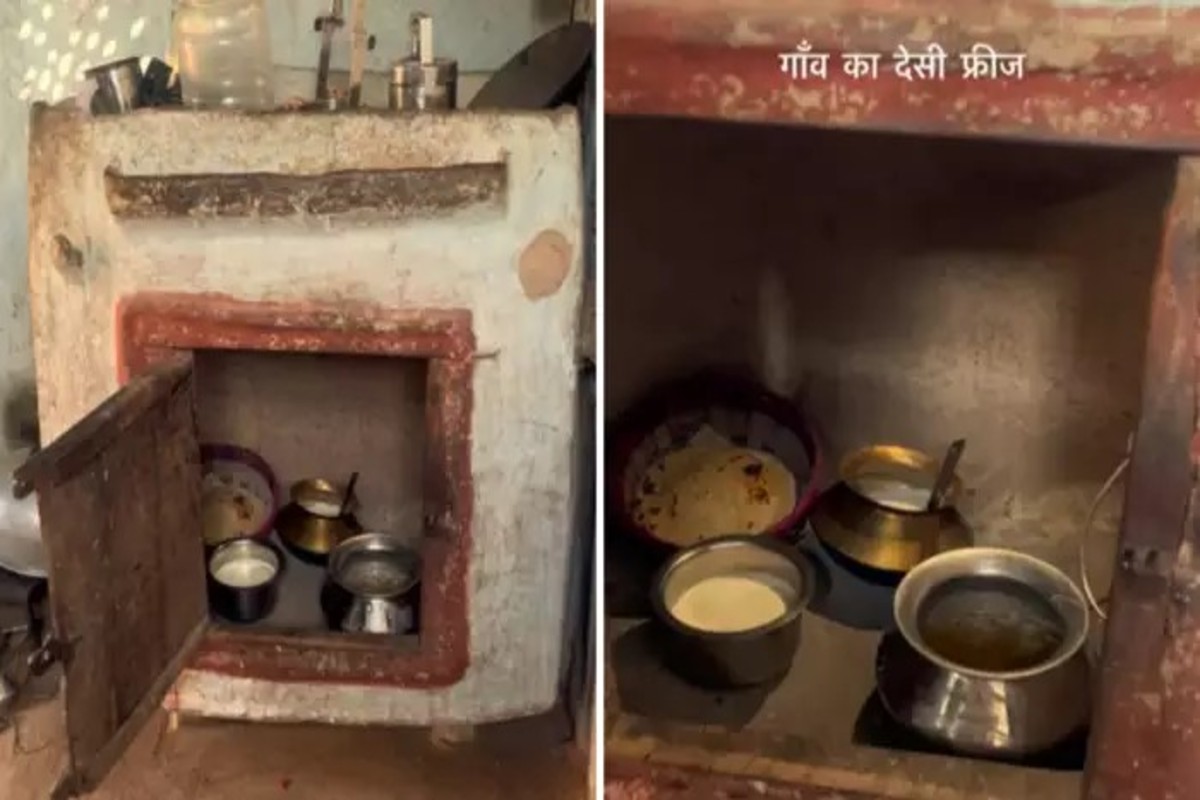 Desi Fridge Viral Video