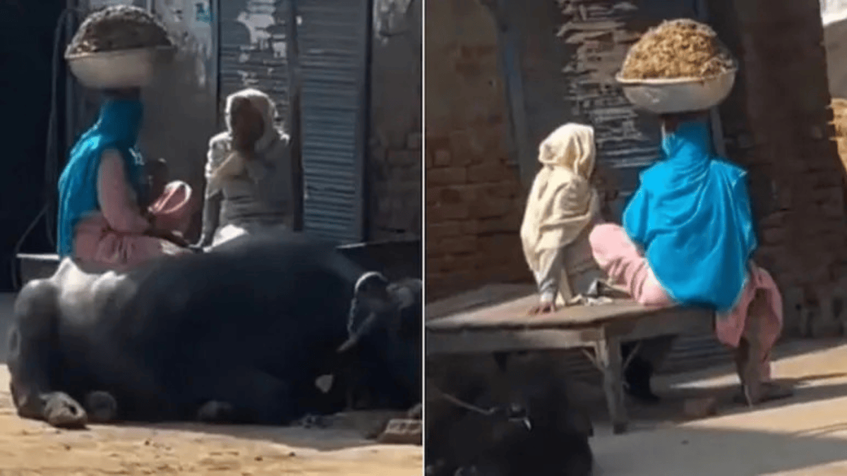 Grandmother Lost In Conversation