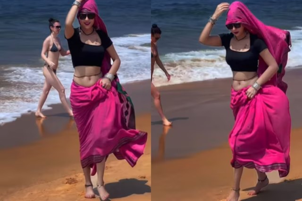 Pink Saree Beauty