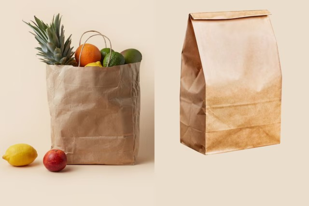 Who Invented Paper Bag