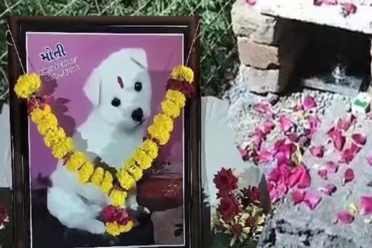 Dog Funeral