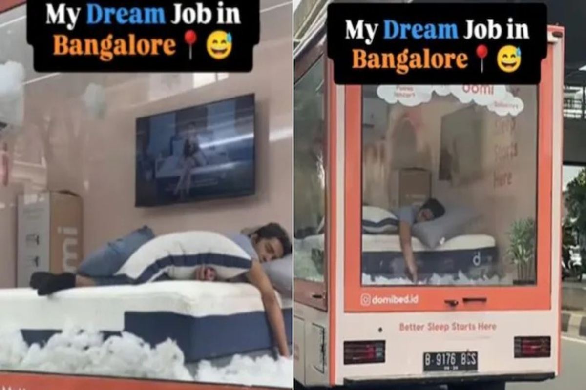 Man Earns by Sleeping Viral Video